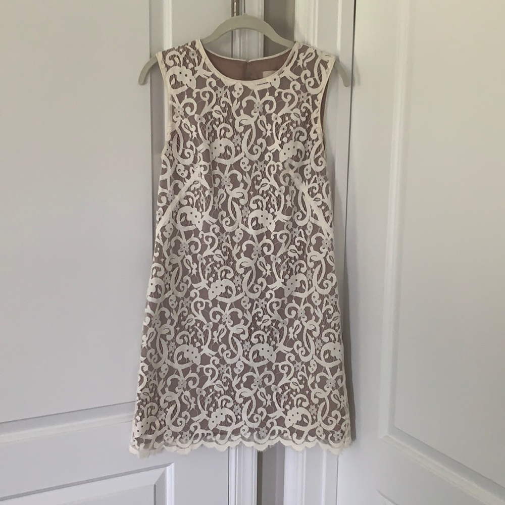 LOFT White/nude lace dress